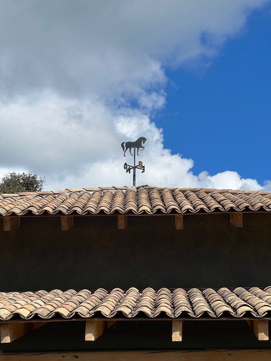 Rancho de Caballos Para Caballos