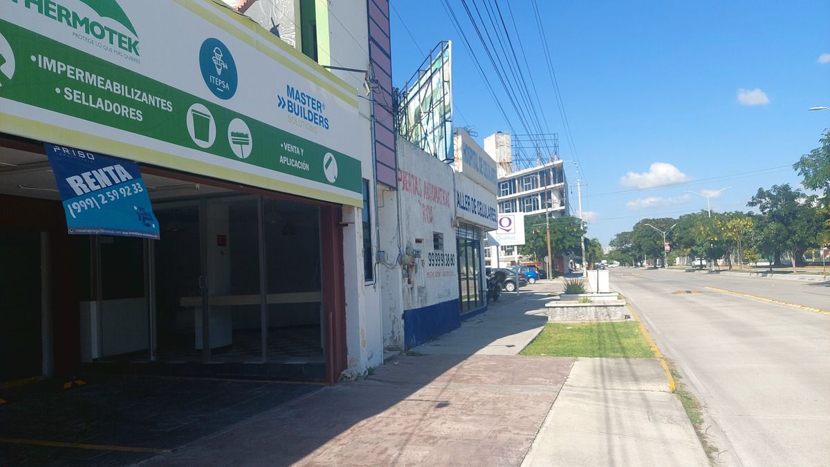 3 de 14