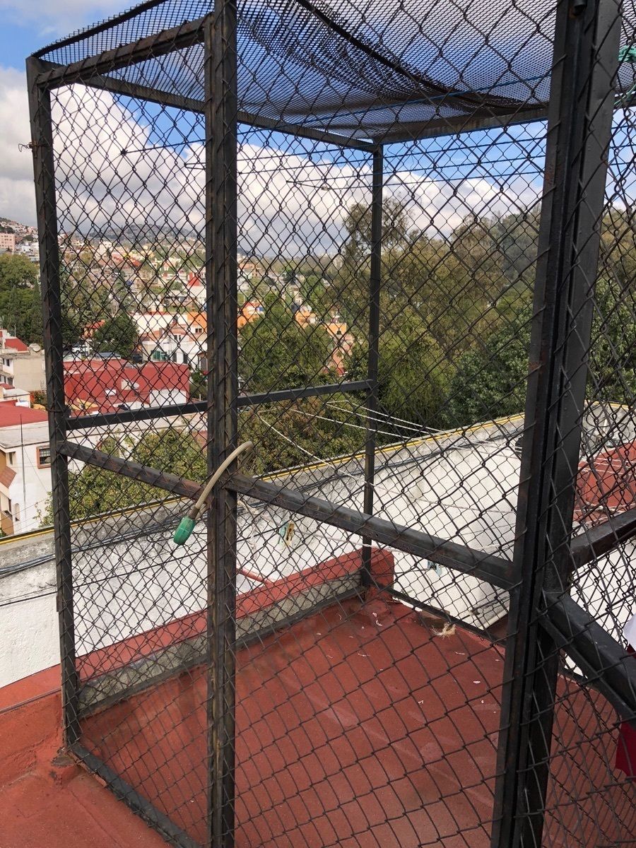 20 de 24