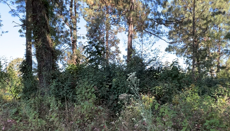 3 de 6