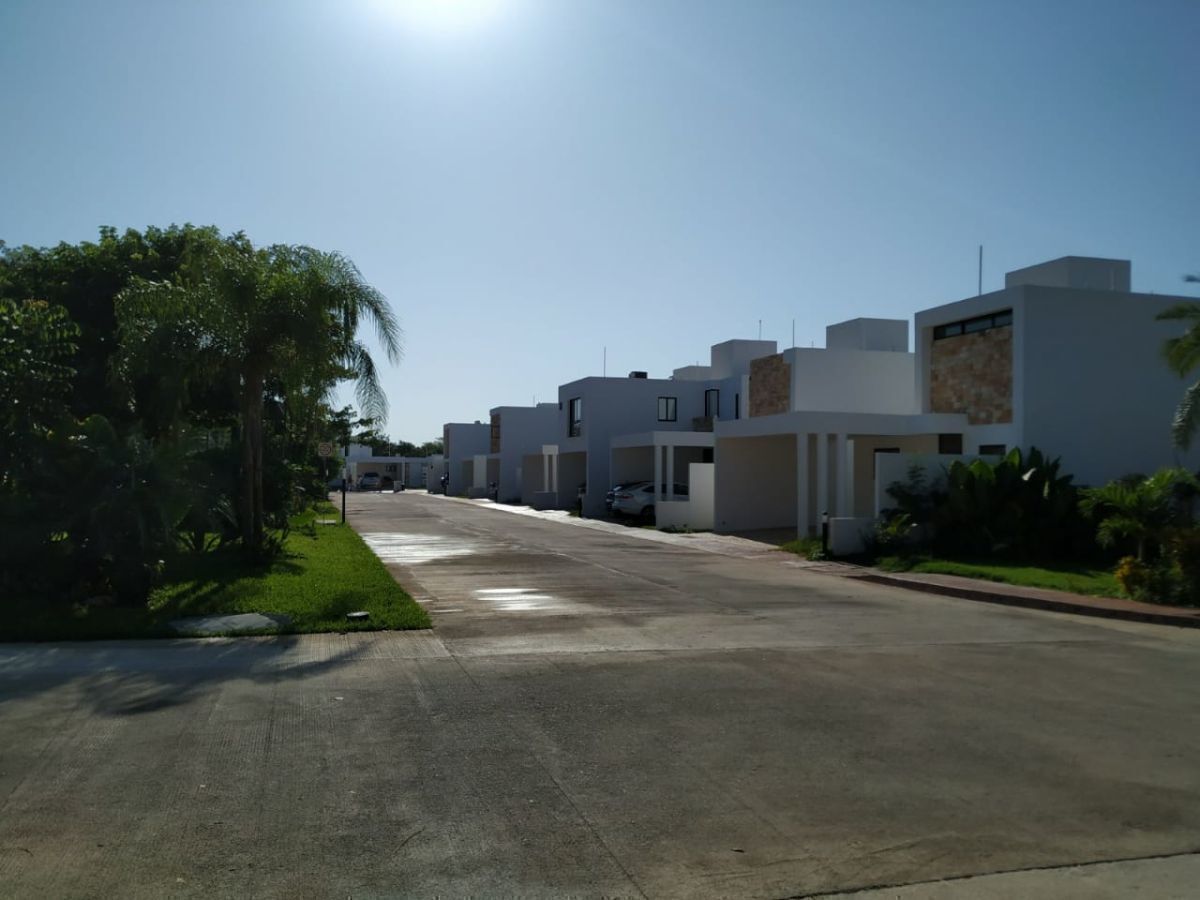19 de 19: Vialidades Internas