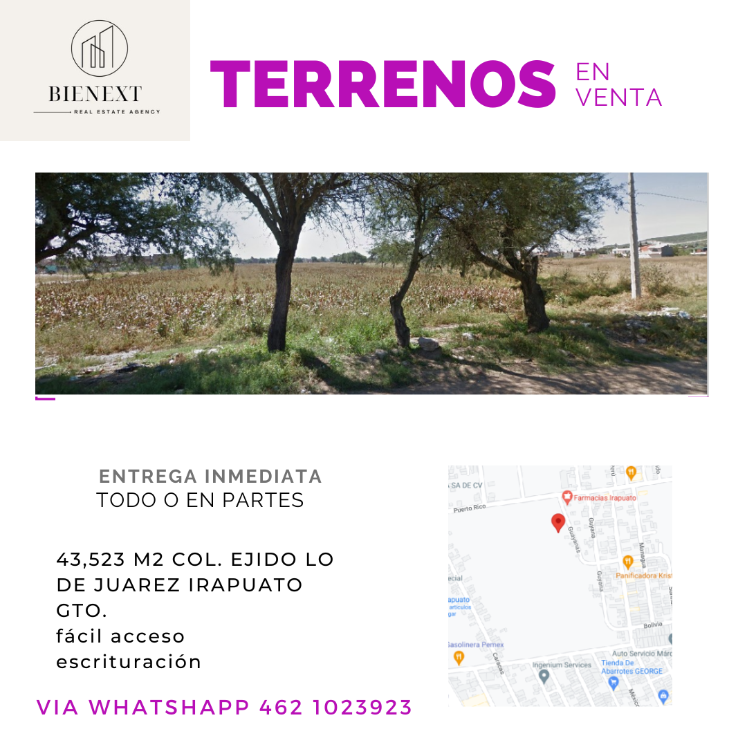 3 de 5: VISTA PANORÁMICA