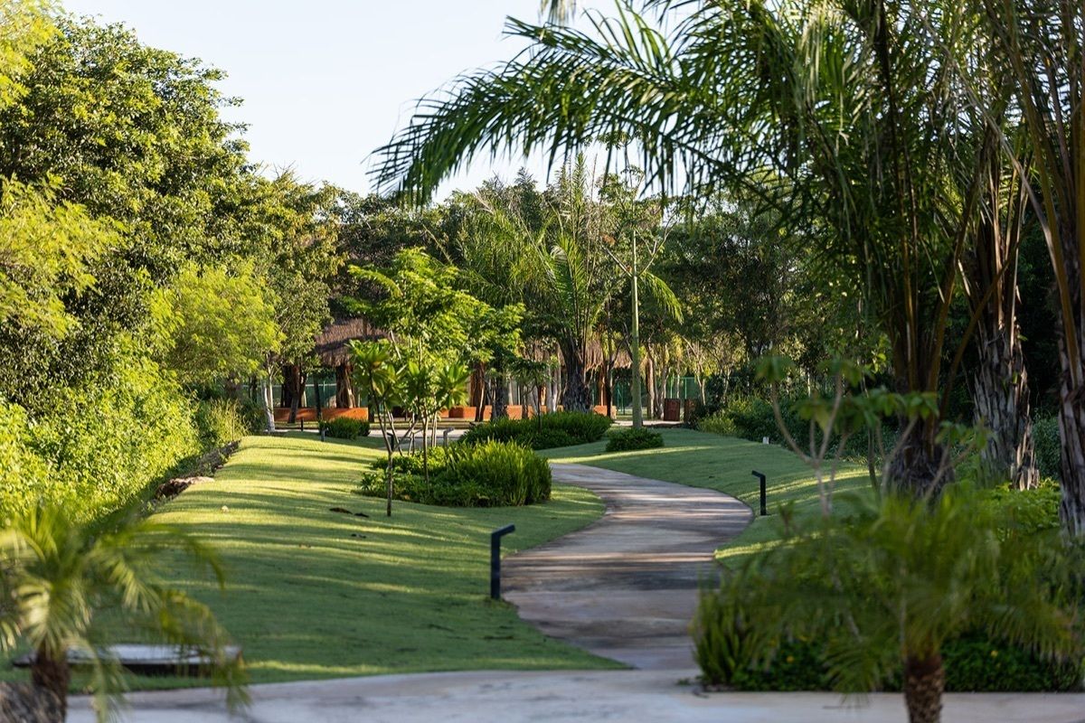 caminador, photo 6 of 12