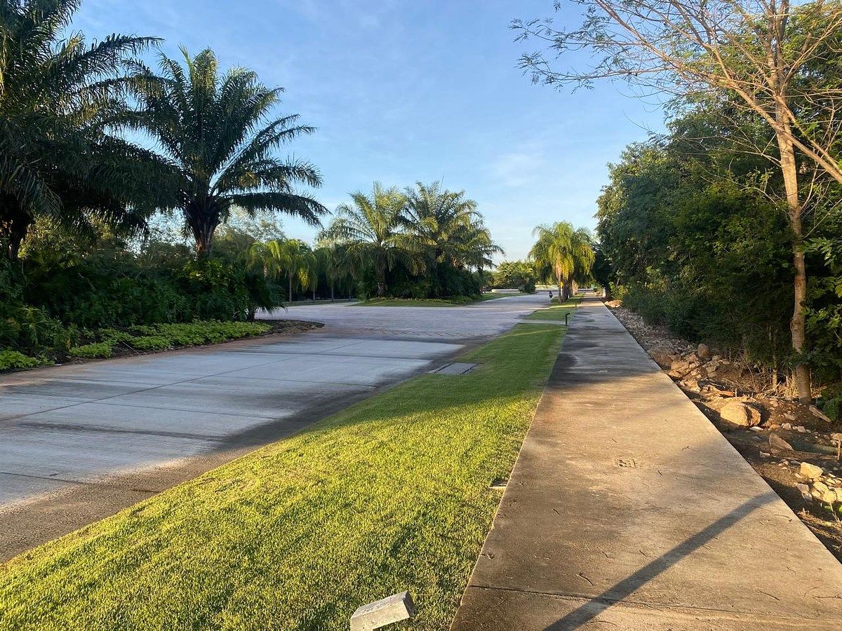 terreno, photo 11 of 12