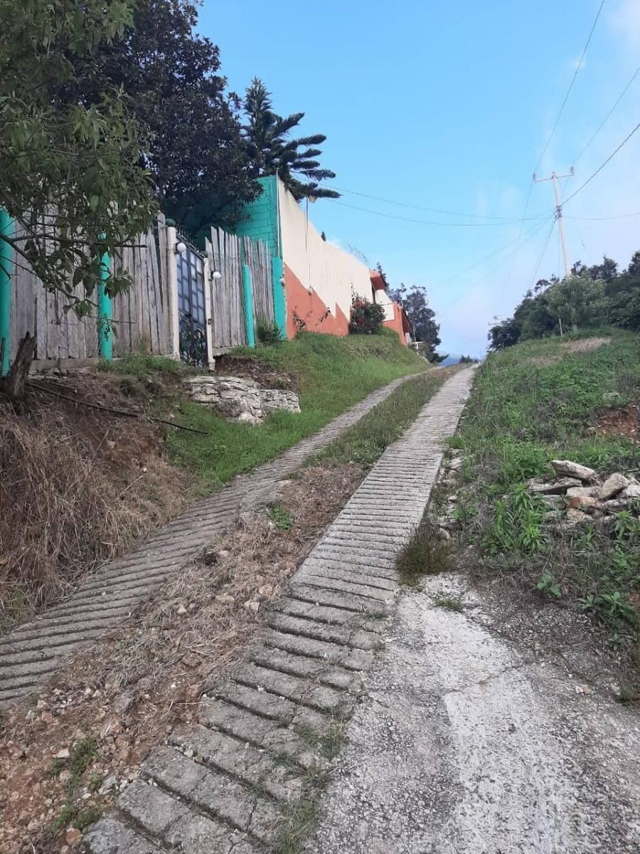 25 de 25