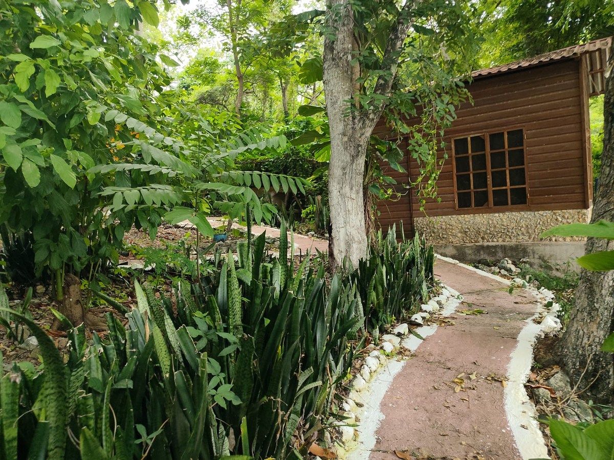 Casa en Flores, foto 11 de 21