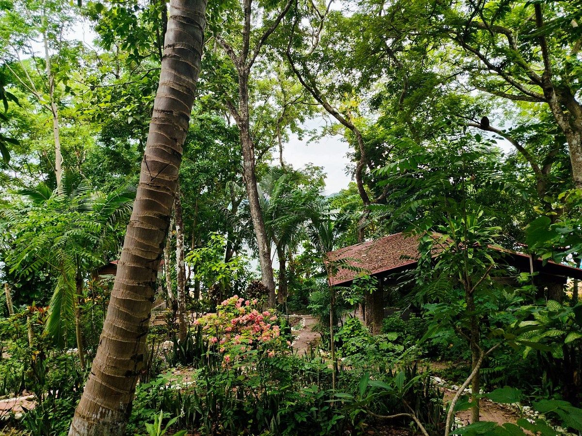 Casa en Flores, foto 10 de 21