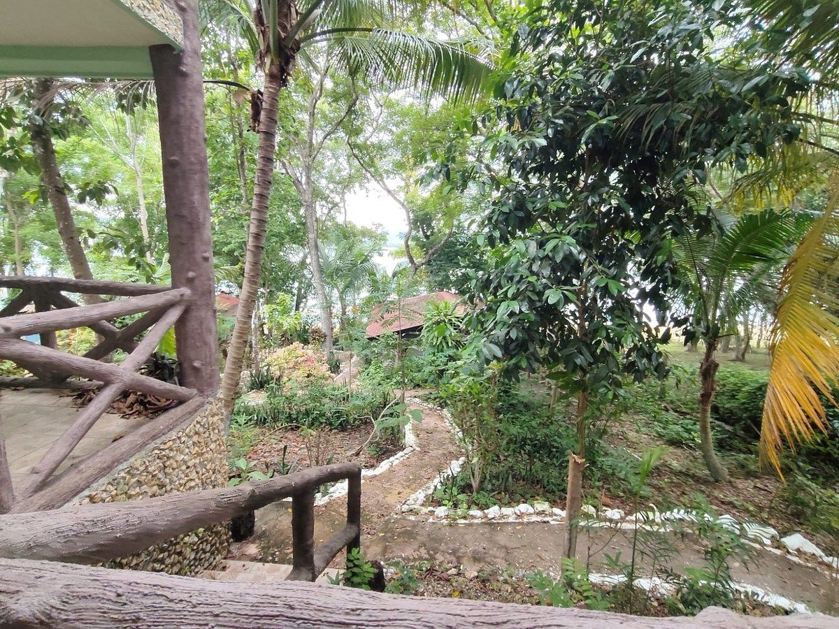 Casa en Flores, foto 16 de 21