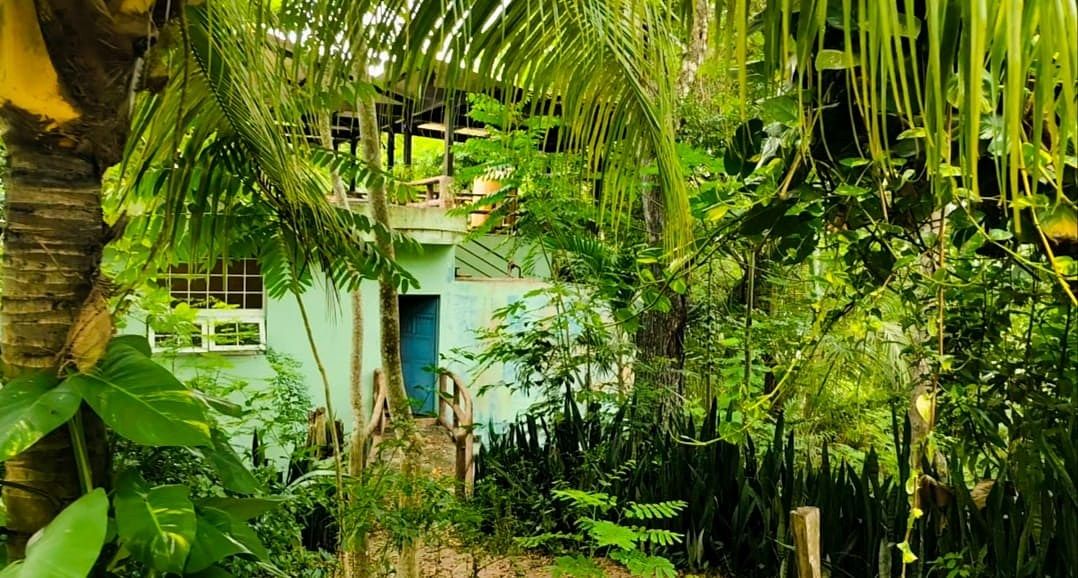 Casa en Flores, foto 6 de 21