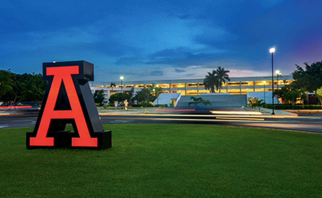 UNIVERSIDAD ANAHUAC MAYAB
