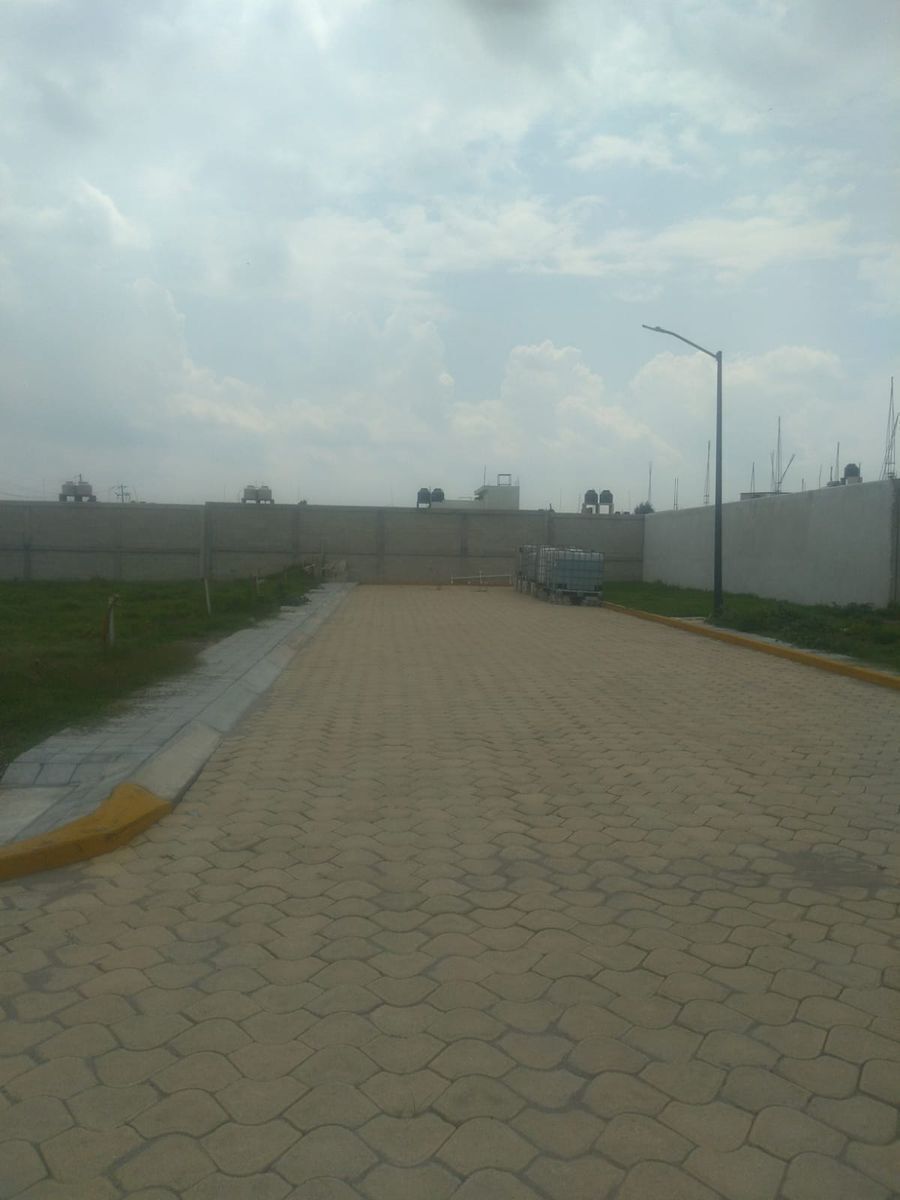 Imagen 6 de 10