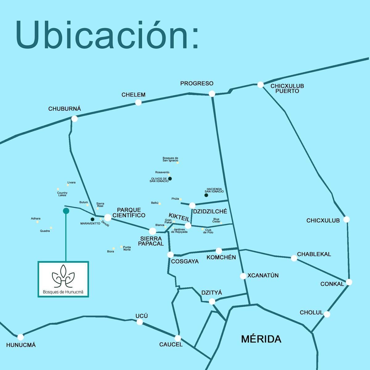 5 de 6