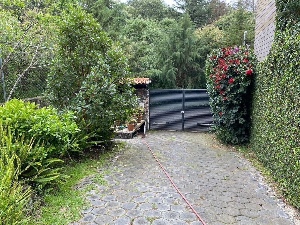 12 of 24: entrada calle