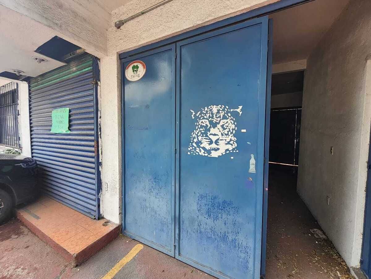 4 de 35