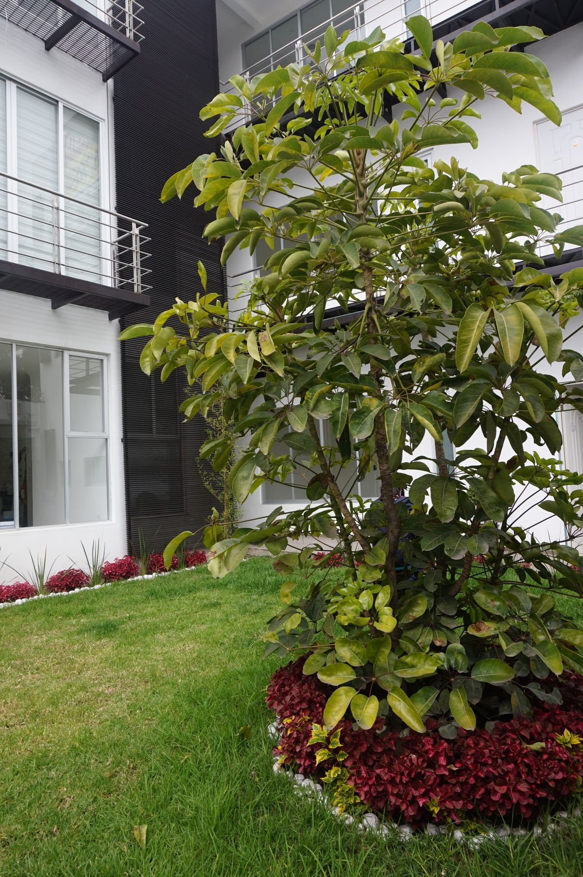 Apartment in Ejidos de San Pedro Mártir, Tlalpan, photo 8 of 9