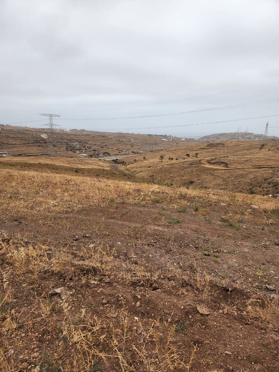 En venta, terrenos en el corazón de Popotla - foto 5