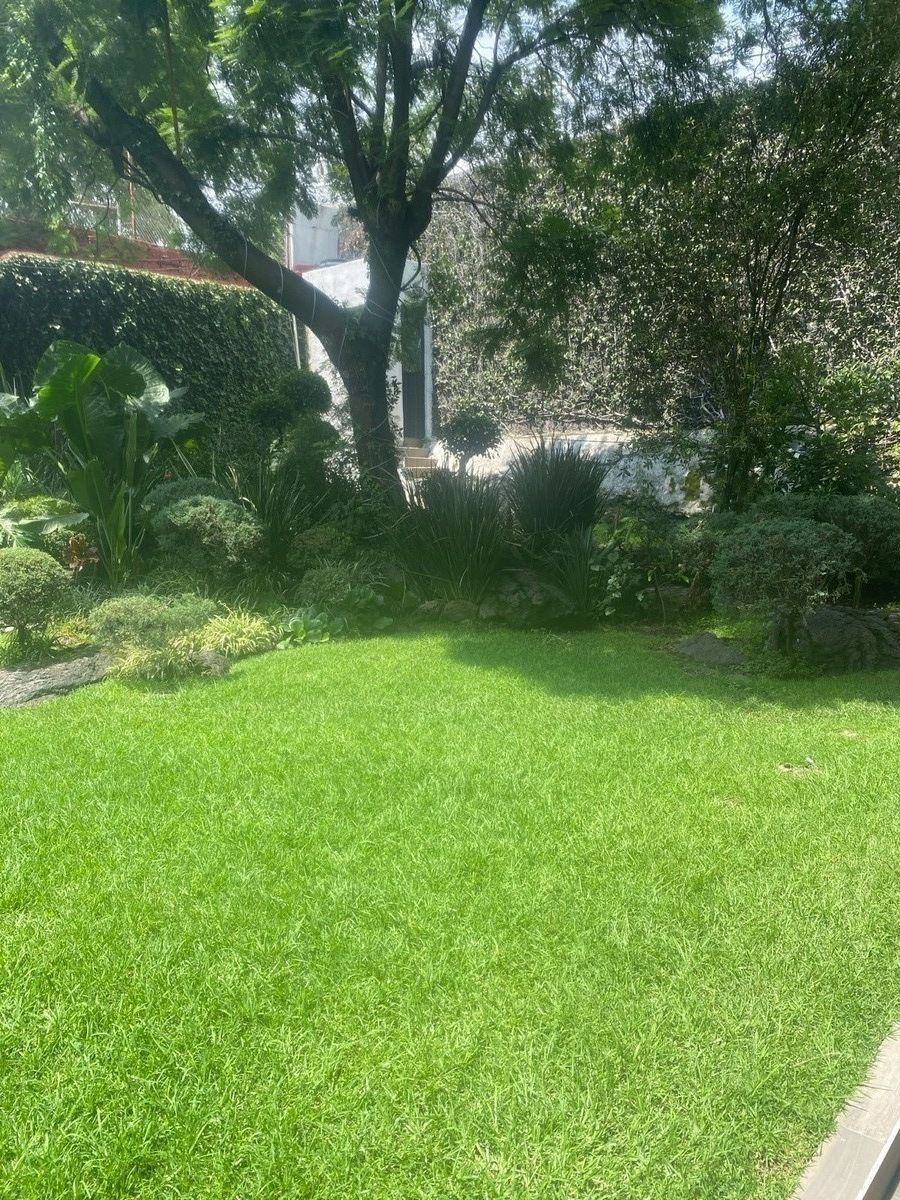 Jardín, foto 6 de 43