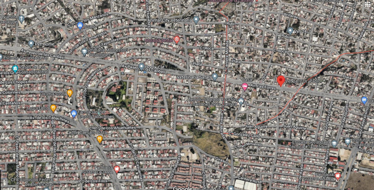 Imagen 5 de 5