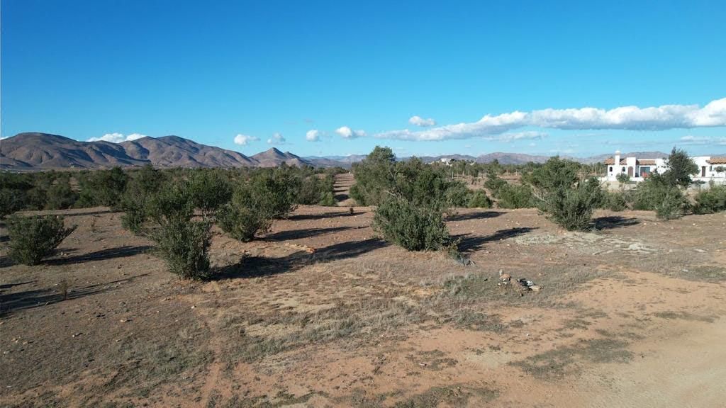 Terreno campestre en venta de 7,453 m2 en el Corazón del Valle de Guadalupe