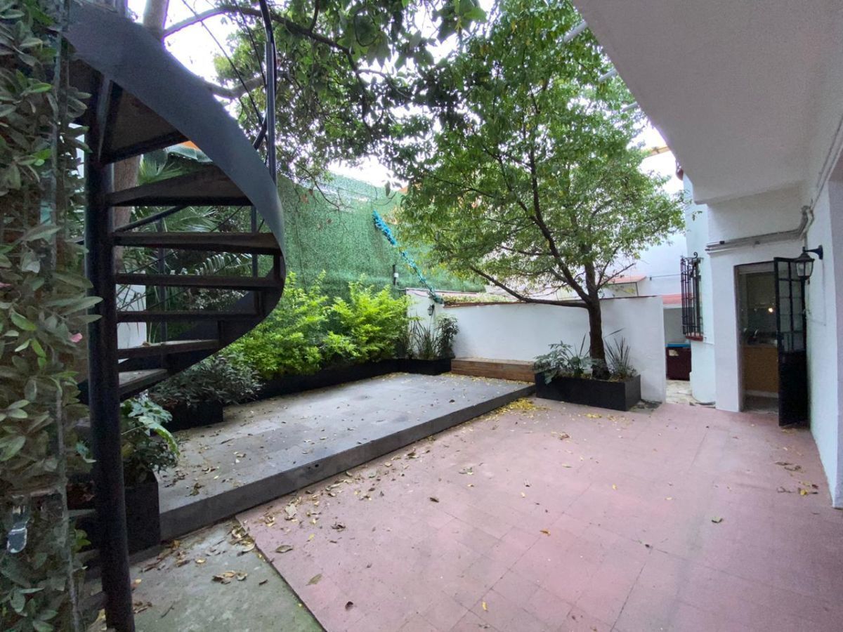 Ahuehuete "Mandela"., S/N, Avenida Emilio Castelar, Polanco, Polanco IV Sección, 11550 Ahuehuete "Mandela"., S/N, Avenida Emilio Castelar, Polanco, Polanco IV Sección, 11550