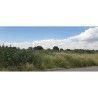 1 de 2: Lote de Terreno Urbano para Desarrollo de Vivienda