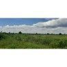 2 de 2: Lote de Terreno Urbano para Desarrollo de Vivienda