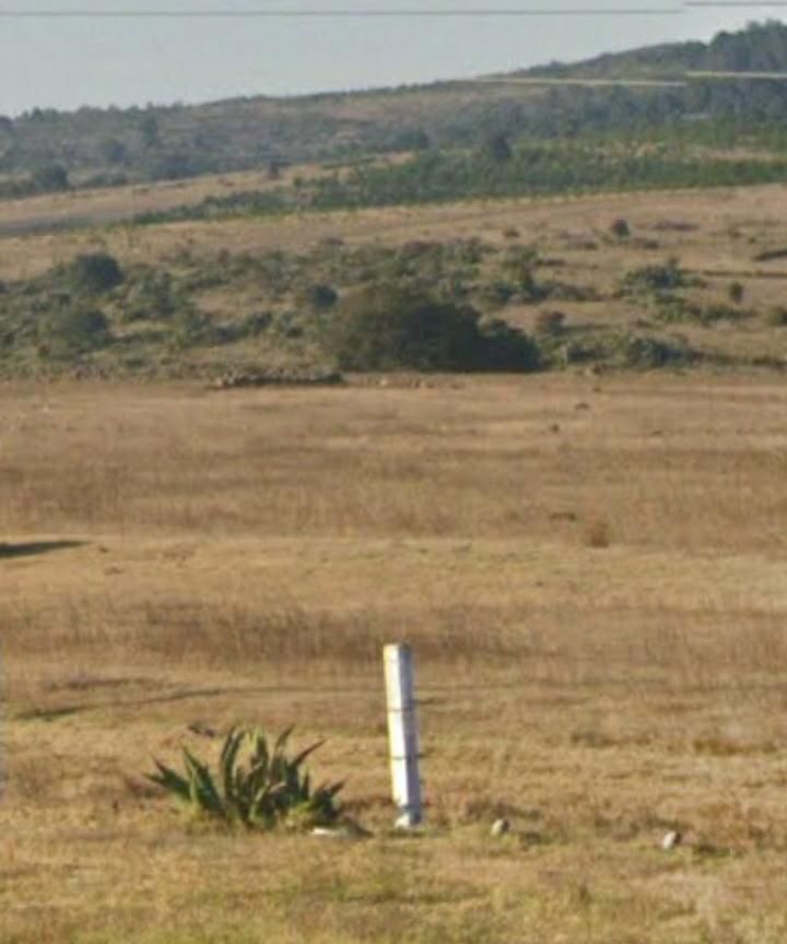 3 de 9