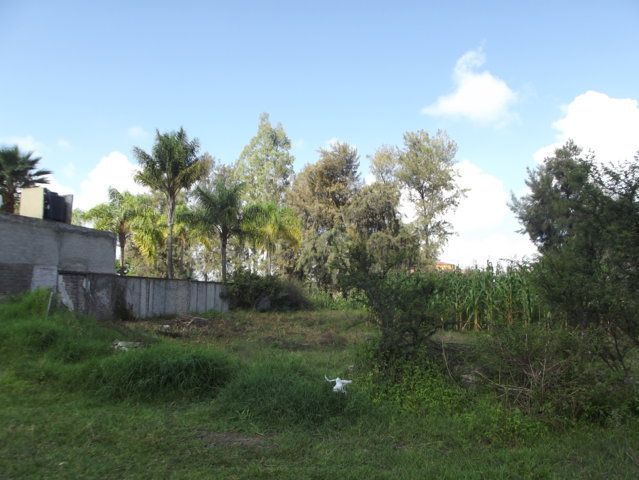 5 de 9