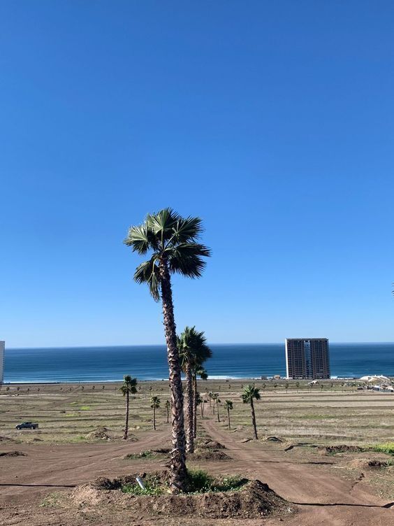 12 de 18
