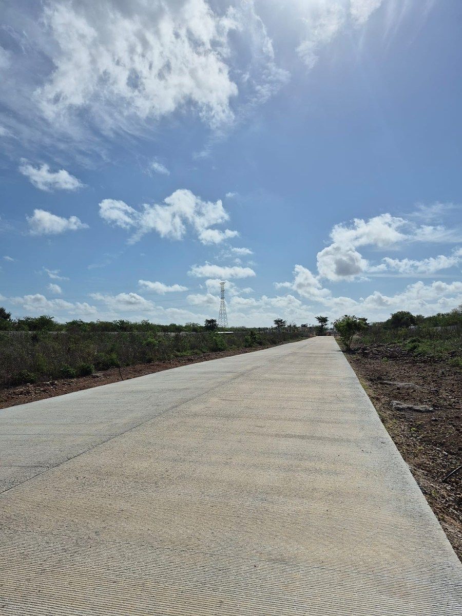 14 de 22: AVANCE ABRIL 2026