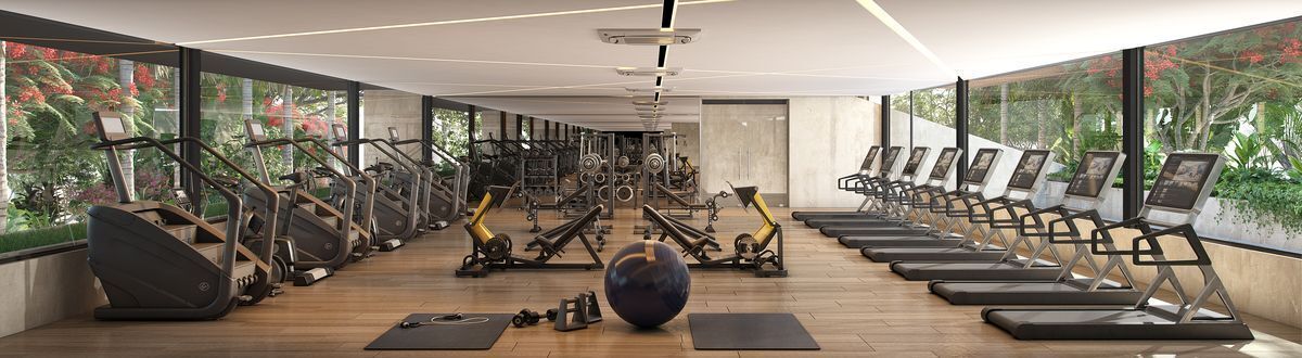 22 de 23: GYM