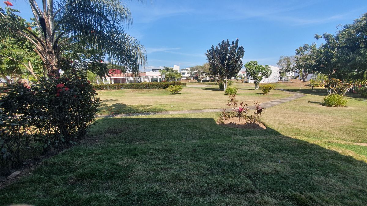 9 de 17
