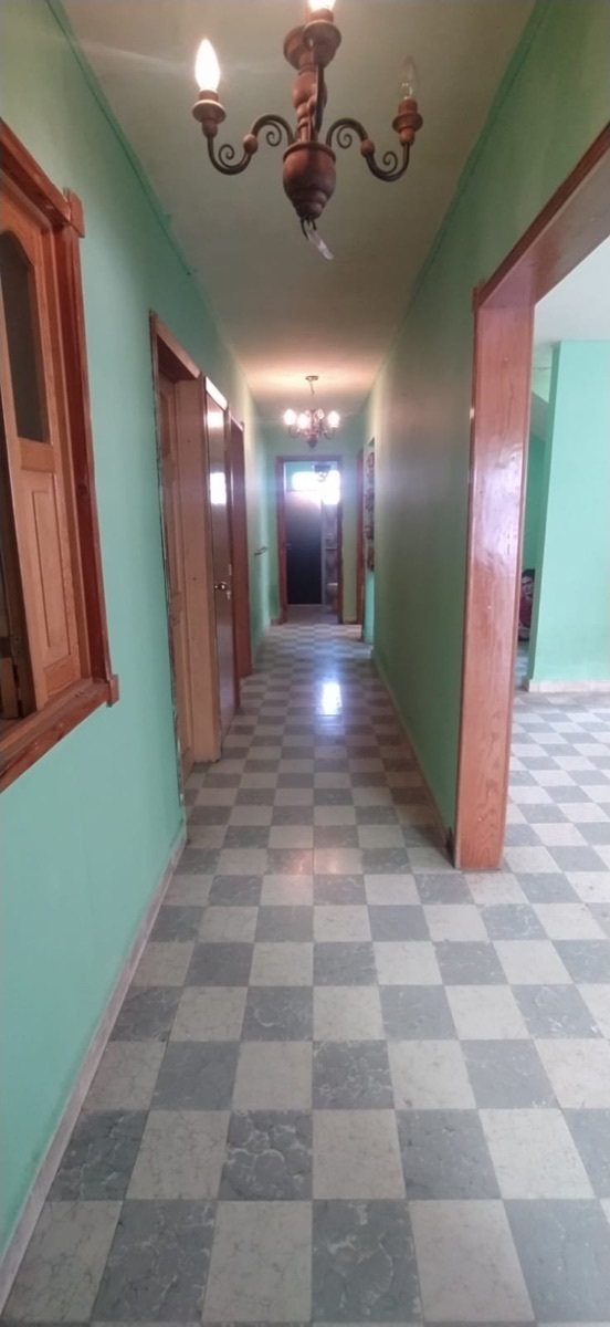 5 de 18