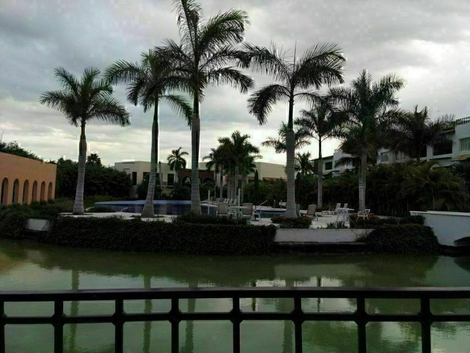 Imagen 5 de 20