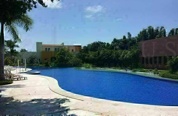 Imagen 11 de 20