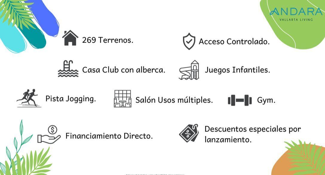 5 de 6