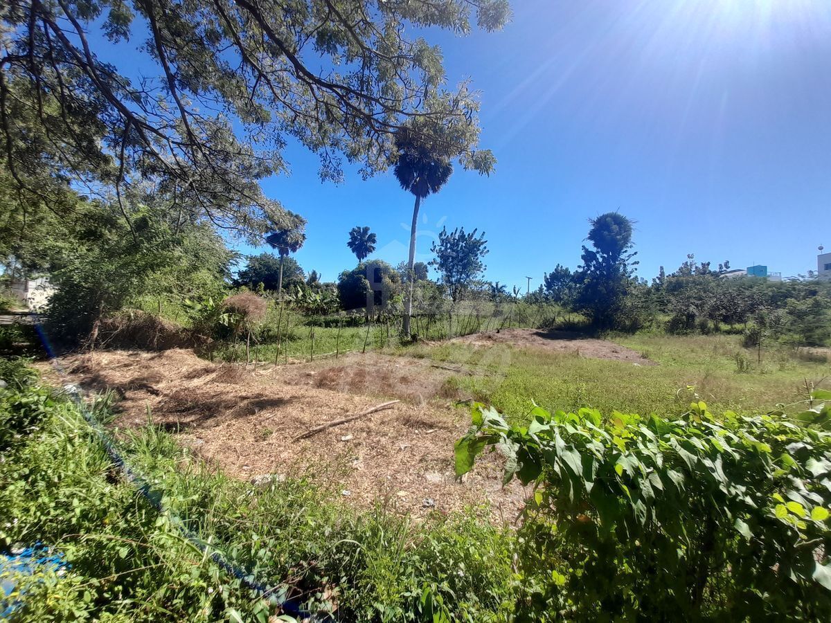4 de 5