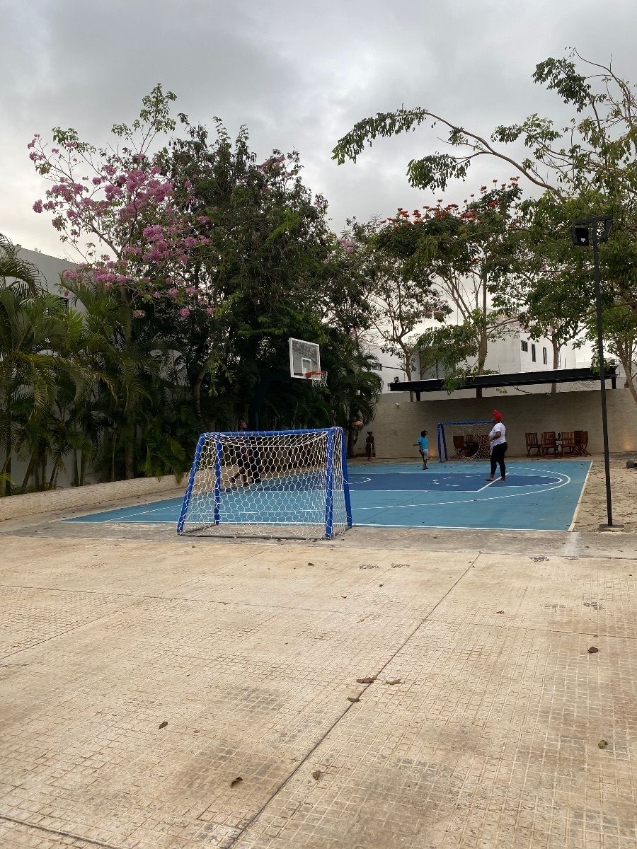 25 de 25