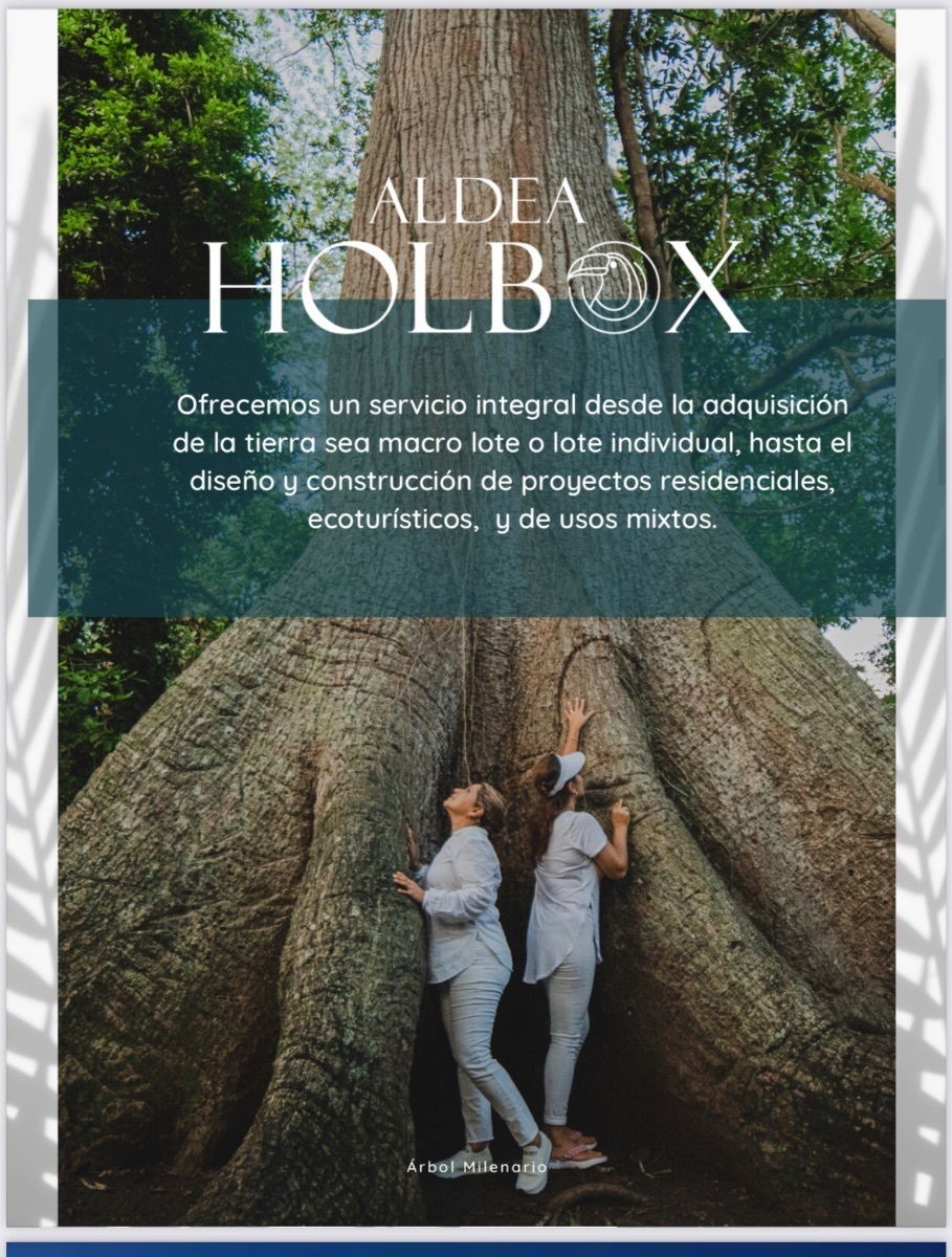 10 de 24: COMENTARIO DEL PROYECTO ALDEA HOLBOX 