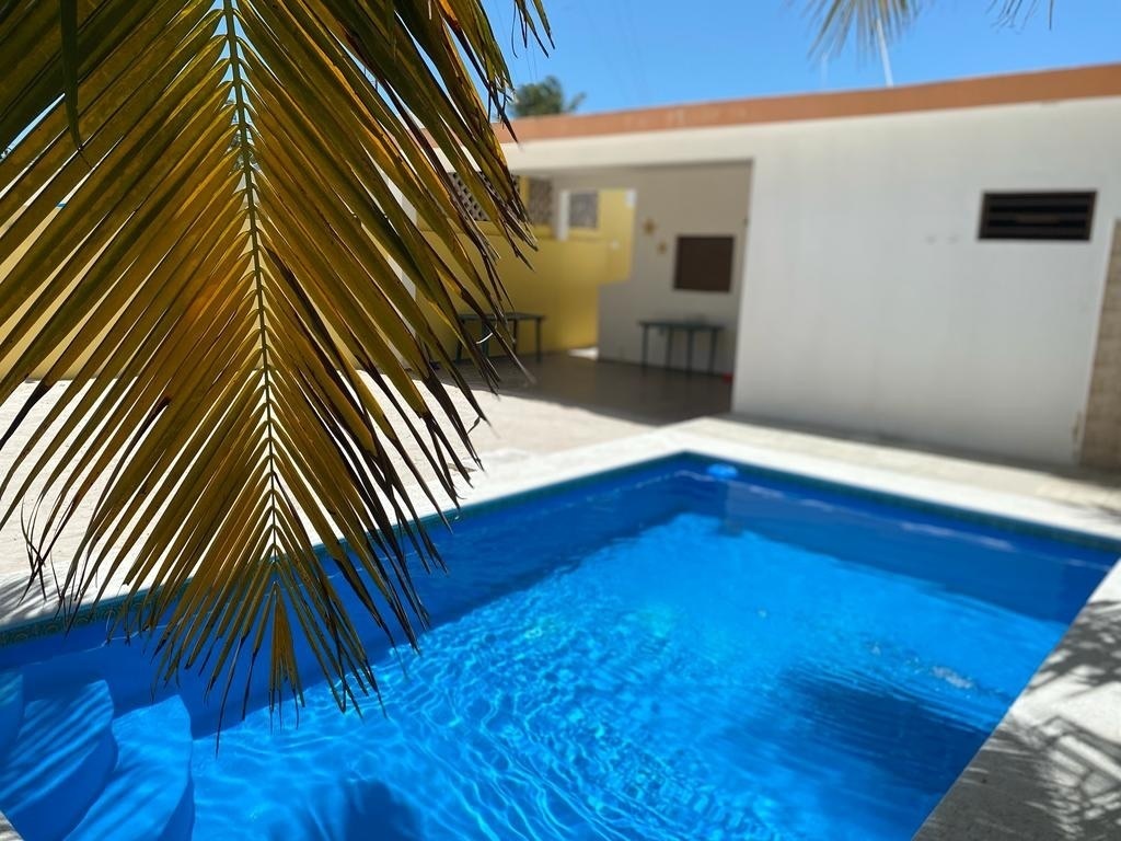 5 de 11