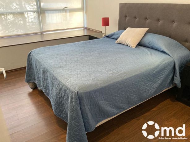 Apartment in Roma Norte, Cuauhtémoc, photo 15 of 22