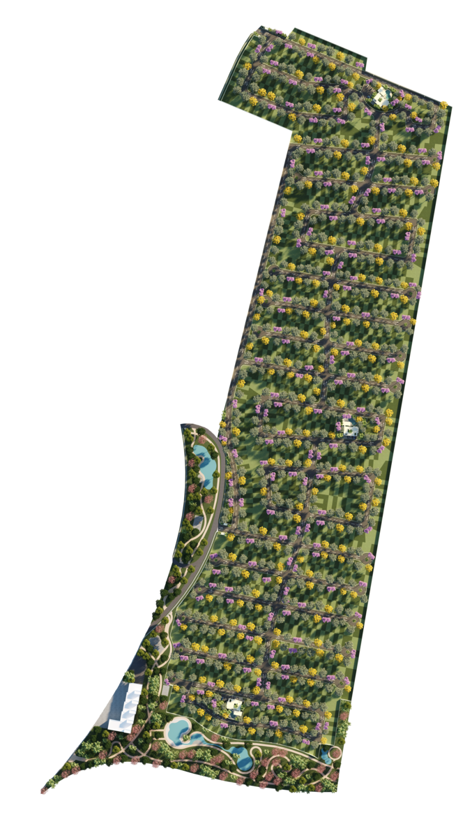 4 de 49