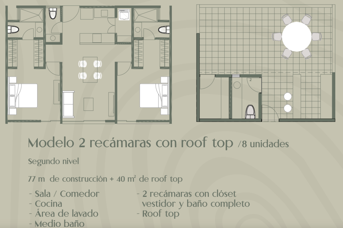3 de 12: Modelo Cotizado
