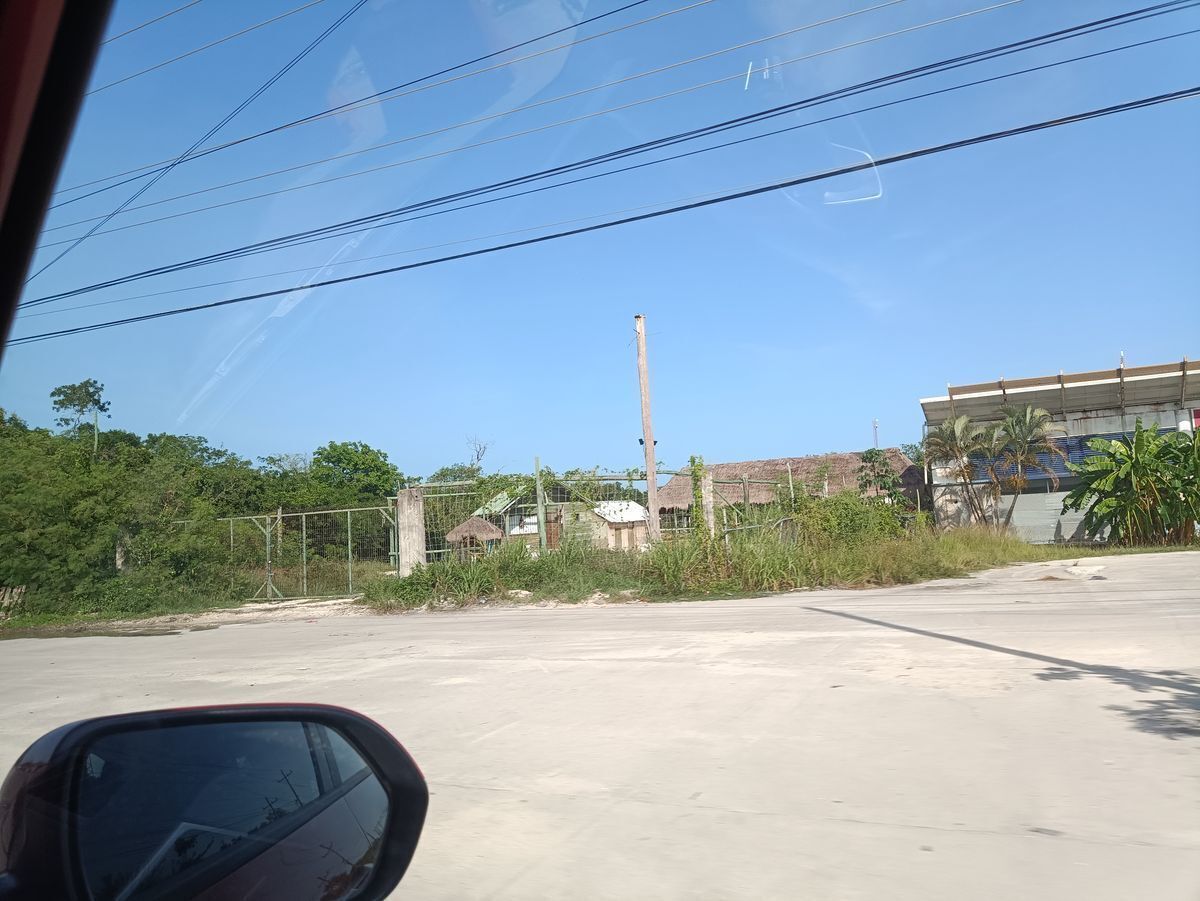 1 de 3