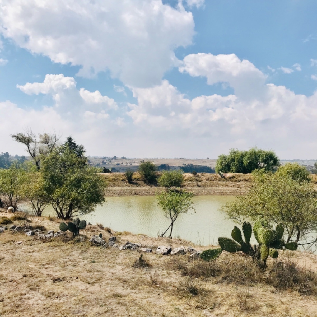Terreno en Venta ideal para Rancho en Aculco Estado de México