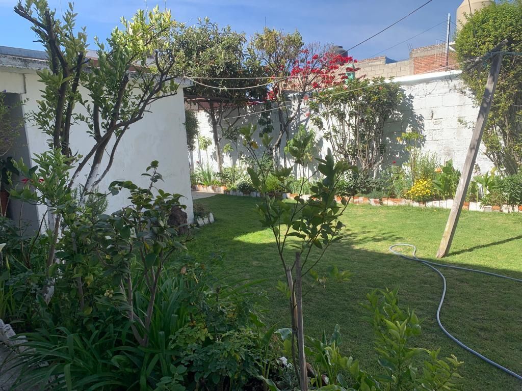 12 de 12