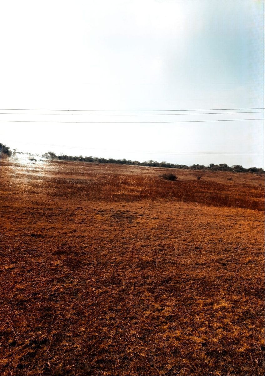 TERRENO EN VENTA AHUEHUEPAN HIDALGO - foto 4