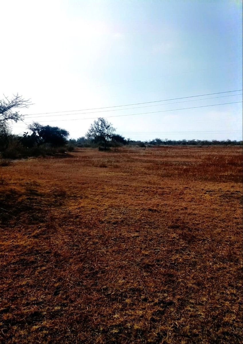 TERRENO EN VENTA AHUEHUEPAN HIDALGO - foto 5