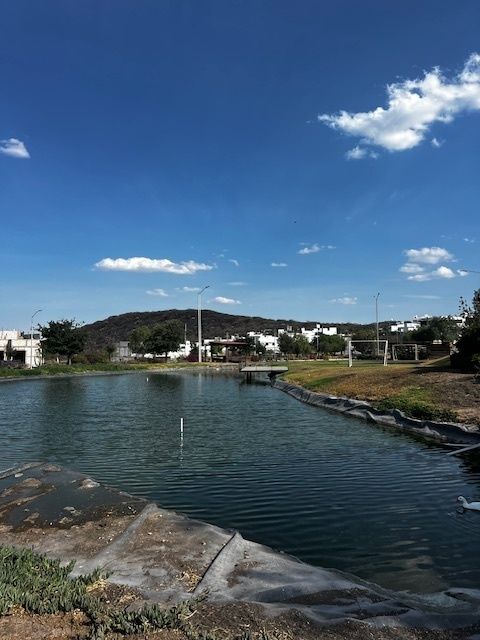LAGO