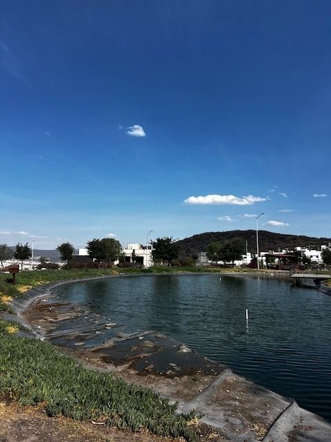 37 de 40: LAGO